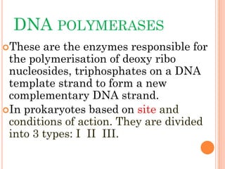DNA POLYMERASES
These are the enzymes responsible for
the polymerisation of deoxy ribo
nucleosides, triphosphates on a DNA
template strand to form a new
complementary DNA strand.
In prokaryotes based on site and
conditions of action. They are divided
into 3 types: I II III.
 