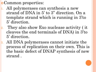 Common properties:
1. All polymerases can synthesis a new
strand of DNA in 5’ to 3” direction. On a
template strand which is running in 3’to
5’ direction.
2. They also show Exo nuclease activity ( it
cleaves the end terminals of DNA) in 3’to
5’ direction.
3. All DNA polymerases cannot initiate the
process of replication on their own. This is
the basic defect of DNAP synthesis of new
strand .
 