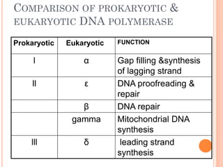 COMPARISON OF PROKARYOTIC &
EUKARYOTIC DNA POLYMERASE
Prokaryotic Eukaryotic FUNCTION
l α Gap filling &synthesis
of lagging strand
ll ε DNA proofreading &
repair
β DNA repair
gamma Mitochondrial DNA
synthesis
lll δ leading strand
synthesis
 