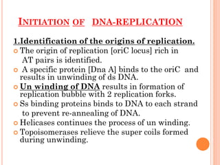 INITIATION OF DNA-REPLICATION
1.Identification of the origins of replication.
 The origin of replication [oriC locus] rich in
AT pairs is identified.
 A specific protein [Dna A] binds to the oriC and
results in unwinding of ds DNA.
 Un winding of DNA results in formation of
replication bubble with 2 replication forks.
 Ss binding proteins binds to DNA to each strand
to prevent re-annealing of DNA.
 Helicases continues the process of un winding.
 Topoisomerases relieve the super coils formed
during unwinding.
 