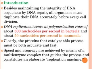  Introduction
 Besides maintaining the integrity of DNA
sequences by DNA repair, all organisms must
duplicate their DNA accurately before every cell
division.
 DNA replication occurs at polymerization rates of
about 500 nucleotides per second in bacteria and
about 50 nucleotides per second in mammals.
 Clearly, the proteins that catalyze this process
must be both accurate and fast.
 Speed and accuracy are achieved by means of a
multienzyme complex that guides the process and
constitutes an elaborate "replication machine."
 