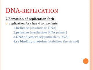 DNA-REPLICATION
2.Fomation of replication fork
 replication fork has 4 components
1.helicase [unwinds ds DNA]
2.primase [synthesizes RNA primer]
3.DNApolymerase[synthesizes DNA]
4.ss binding proteins [stabilizes the strand]
 