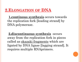 2.ELONGATION OF DNA
1.continous synthesis occurs towards
the replication fork [leading strand] by
DNA polymerase.
2.discontinuous synthesis occurs
away from the replication fork in pieces
called as okazaki fragments which are
ligated by DNA ligase [lagging strand]. It
requires multiple RNAprimers.
 