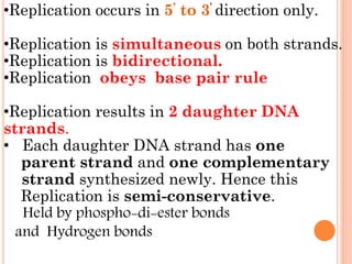 •Replication occurs in 5’ to 3’ direction only.
•Replication is simultaneous on both strands.
•Replication is bidirectional.
•Replication obeys base pair rule
•Replication results in 2 daughter DNA
strands.
• Each daughter DNA strand has one
parent strand and one complementary
strand synthesized newly. Hence this
Replication is semi-conservative.
Held by phospho-di-ester bonds
and Hydrogen bonds
 