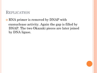 REPLICATION
 RNA primer is removed by DNAP with
exonuclease activity. Again the gap is filled by
DNAP. The two Okazaki pieces are later joined
by DNA ligase.
 