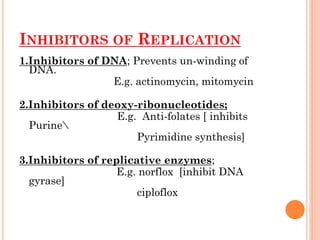 INHIBITORS OF REPLICATION
1.Inhibitors of DNA; Prevents un-winding of
DNA.
E.g. actinomycin, mitomycin
2.Inhibitors of deoxy-ribonucleotides;
E.g. Anti-folates [ inhibits
Purine
Pyrimidine synthesis]
3.Inhibitors of replicative enzymes;
E.g. norflox [inhibit DNA
gyrase]
ciploflox
 