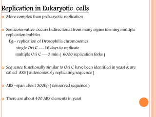 Replication in Eukaryotic cells
 More complex than prokaryotic replication
 Semicoservative ,occurs bidirectional from many oigins forming multiple
replication bubbles
Eg:- replication of Drosophilia chromosomes
single Ori C ---16 days to replicate
multiple Ori C ---3 min ( 6000 replication forks )
 Sequence functionally similar to Ori C have been identified in yeast & are
called ARS ( autonomously replicating sequence )
 ARS –span about 300bp ( conserved sequence )
 There are about 400 ARS elements in yeast
 