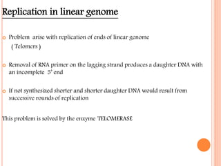 Replication in linear genome
 Problem arise with replication of ends of linear genome
( Telomers )
 Removal of RNA primer on the lagging strand produces a daughter DNA with
an incomplete 5’ end
 If not synthesized shorter and shorter daughter DNA would result from
successive rounds of replication
This problem is solved by the enzyme TELOMERASE
 