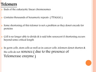 Telomers
 Ends of the eukaryotic linear chromosomes
 Contains thousands of hexameric repeats ( TTAGGG )
 Some shortening of this telomer is not a problem as they donot encode for
proteins
 Cell is no longer able to divide & is said tobe senescent if shortening occurs
beyond some critical length
 In germ cells ,stem cells as well as in cancer cells ,telomers donot shorten &
the cells do not senesce.( due to the presence of
Telomerase enzyme )
 