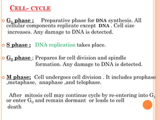 CELL- CYCLE
 G1 phase ; Preparative phase for DNA synthesis. All
cellular components replicate except DNA . Cell size
increases. Any damage to DNA is detected.
 S phase ; DNA replication takes place.
 G2 phase ; Prepares for cell division and spindle
formation. Any damage to DNA is detected.
 M phase; Cell undergoes cell division . It includes prophase
,metaphase, anaphase ,and telophase.
After mitosis cell may continue cycle by re-entering into G1
or enter G0 and remain dormant or leads to cell
death
 
