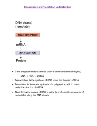 Transcription and Translation understanding
• Cells are governed by a cellular chain of command (central dogma)
DNA  RNA  protein
• Transcription: Is the synthesis of RNA under the direction of DNA
• Translation: Is the actual synthesis of a polypeptide, which occurs
under the direction of mRNA
• The information content of DNA is in the form of specific sequences of
nucleotides along the DNA strands
 