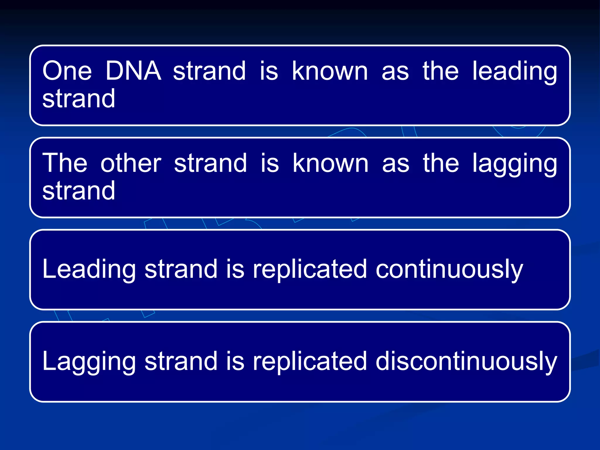 One DNA strand is known as the leading
strand
The other strand is known as the lagging
strand
Leading strand is replicated continuously
Lagging strand is replicated discontinuously
 