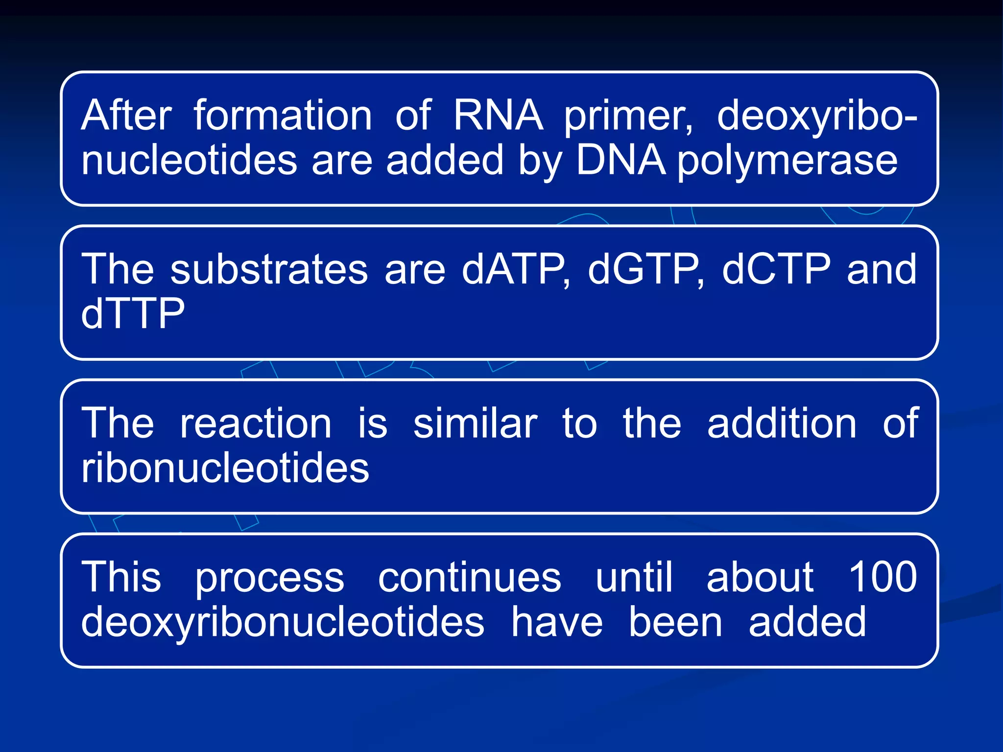 After formation of RNA primer, deoxyribo-
nucleotides are added by DNA polymerase
The substrates are dATP, dGTP, dCTP and
dTTP
The reaction is similar to the addition of
ribonucleotides
This process continues until about 100
deoxyribonucleotides have been added
 