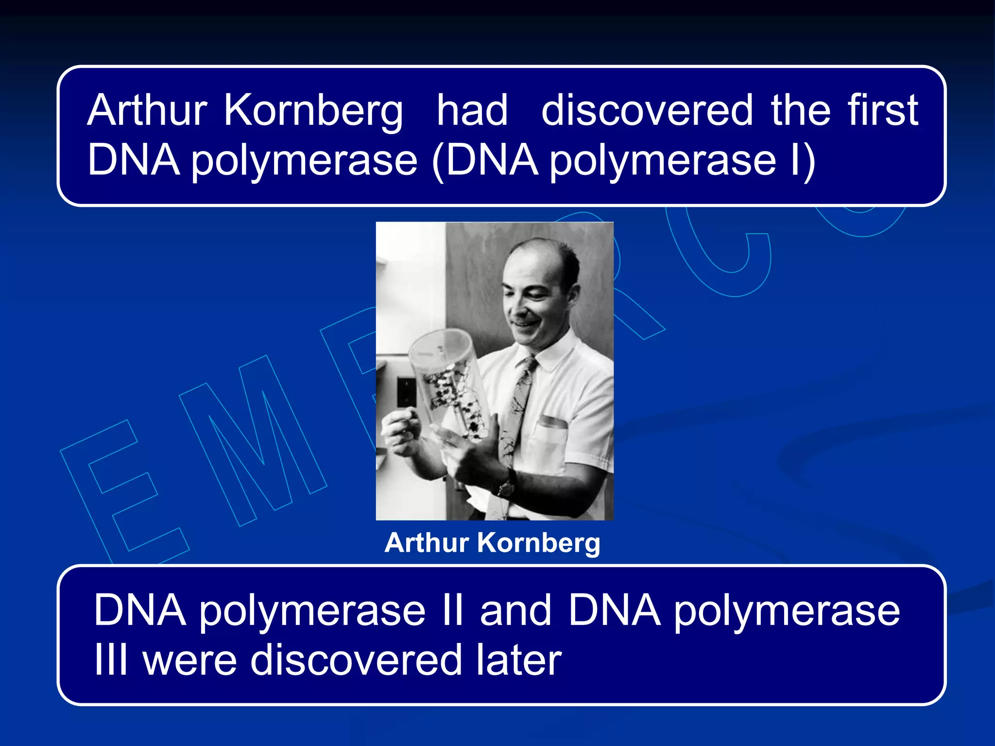 Arthur Kornberg had discovered the first
DNA polymerase (DNA polymerase I)
Arthur Kornberg
DNA polymerase II and DNA polymerase
III were discovered later
 