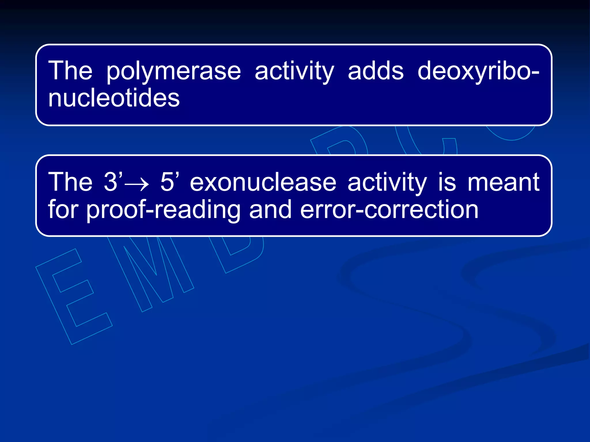 The polymerase activity adds deoxyribo-
nucleotides
The 3’ 5’ exonuclease activity is meant
for proof-reading and error-correction
 