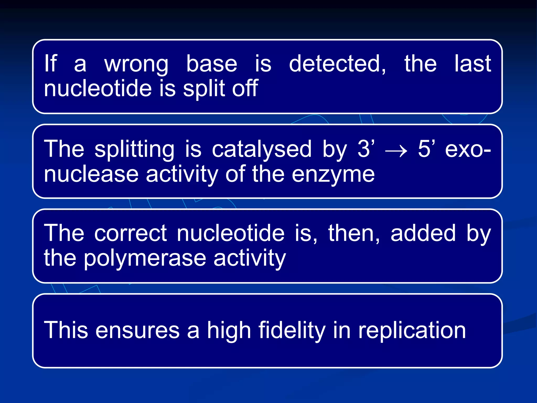 If a wrong base is detected, the last
nucleotide is split off
The splitting is catalysed by 3’  5’ exo-
nuclease activity of the enzyme
The correct nucleotide is, then, added by
the polymerase activity
This ensures a high fidelity in replication
 