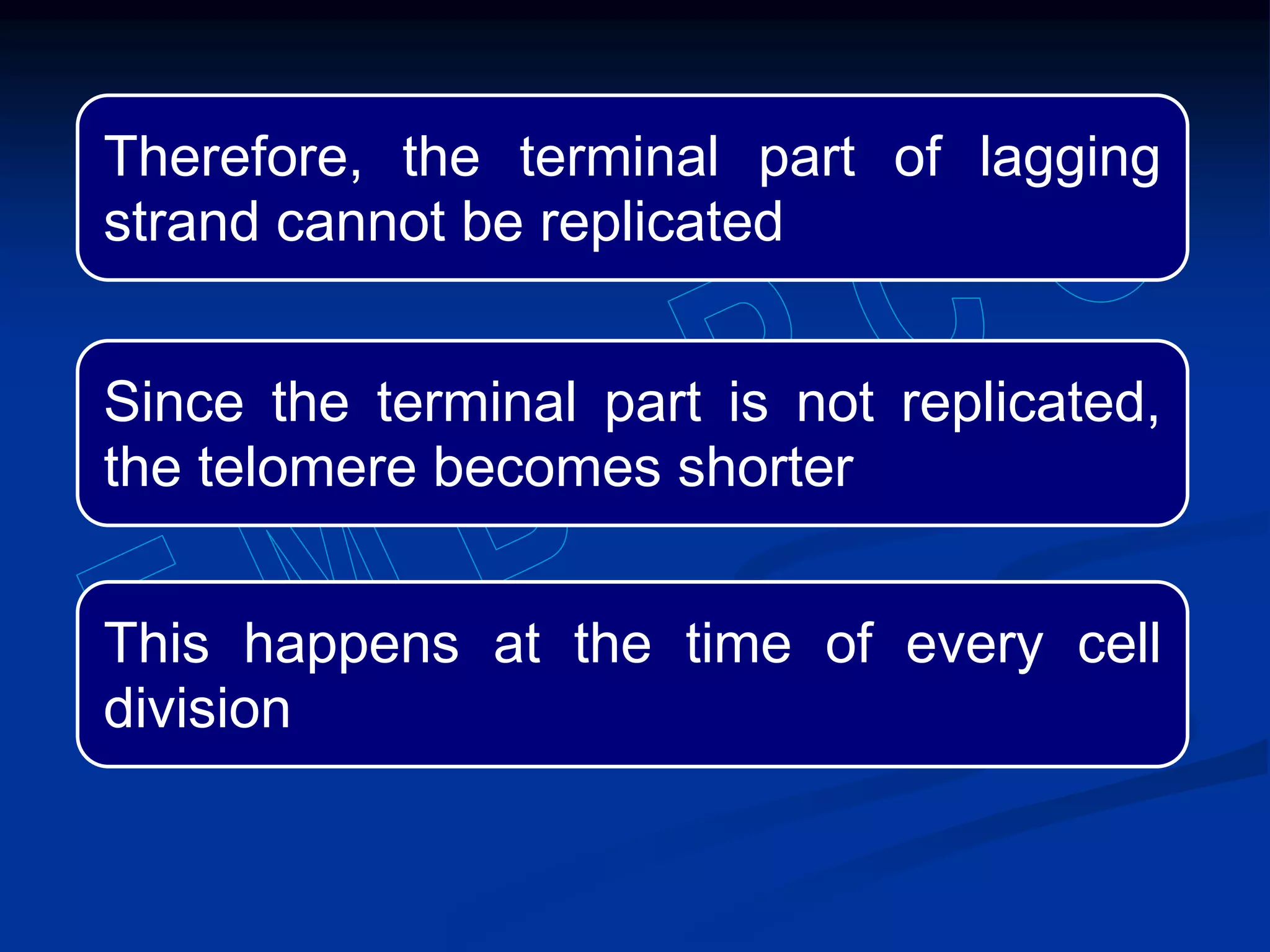 Therefore, the terminal part of lagging
strand cannot be replicated
Since the terminal part is not replicated,
the telomere becomes shorter
This happens at the time of every cell
division
 