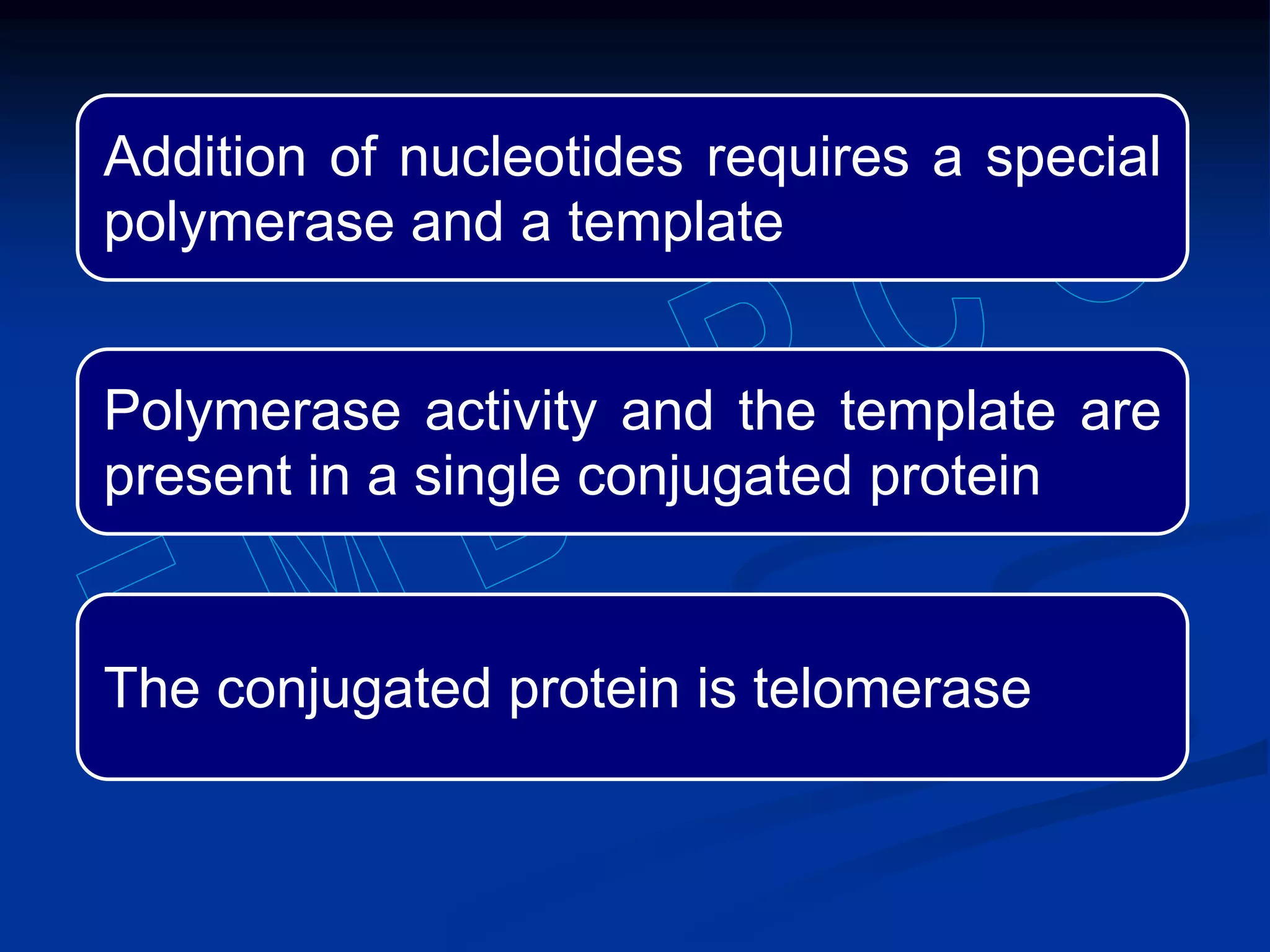 Addition of nucleotides requires a special
polymerase and a template
Polymerase activity and the template are
present in a single conjugated protein
The conjugated protein is telomerase
 