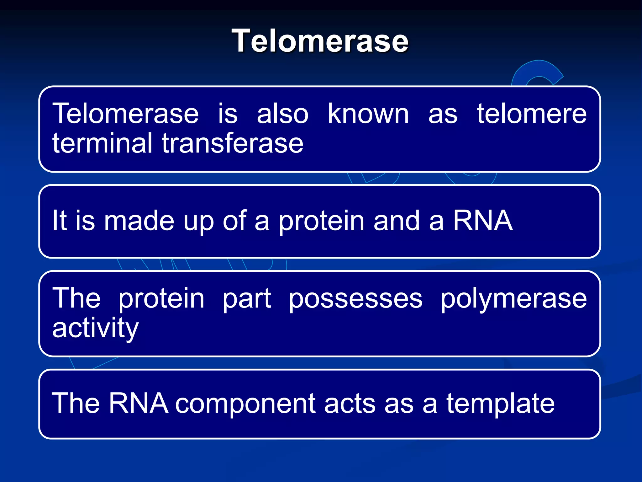 Telomerase is also known as telomere
terminal transferase
It is made up of a protein and a RNA
The protein part possesses polymerase
activity
The RNA component acts as a template
Telomerase
 