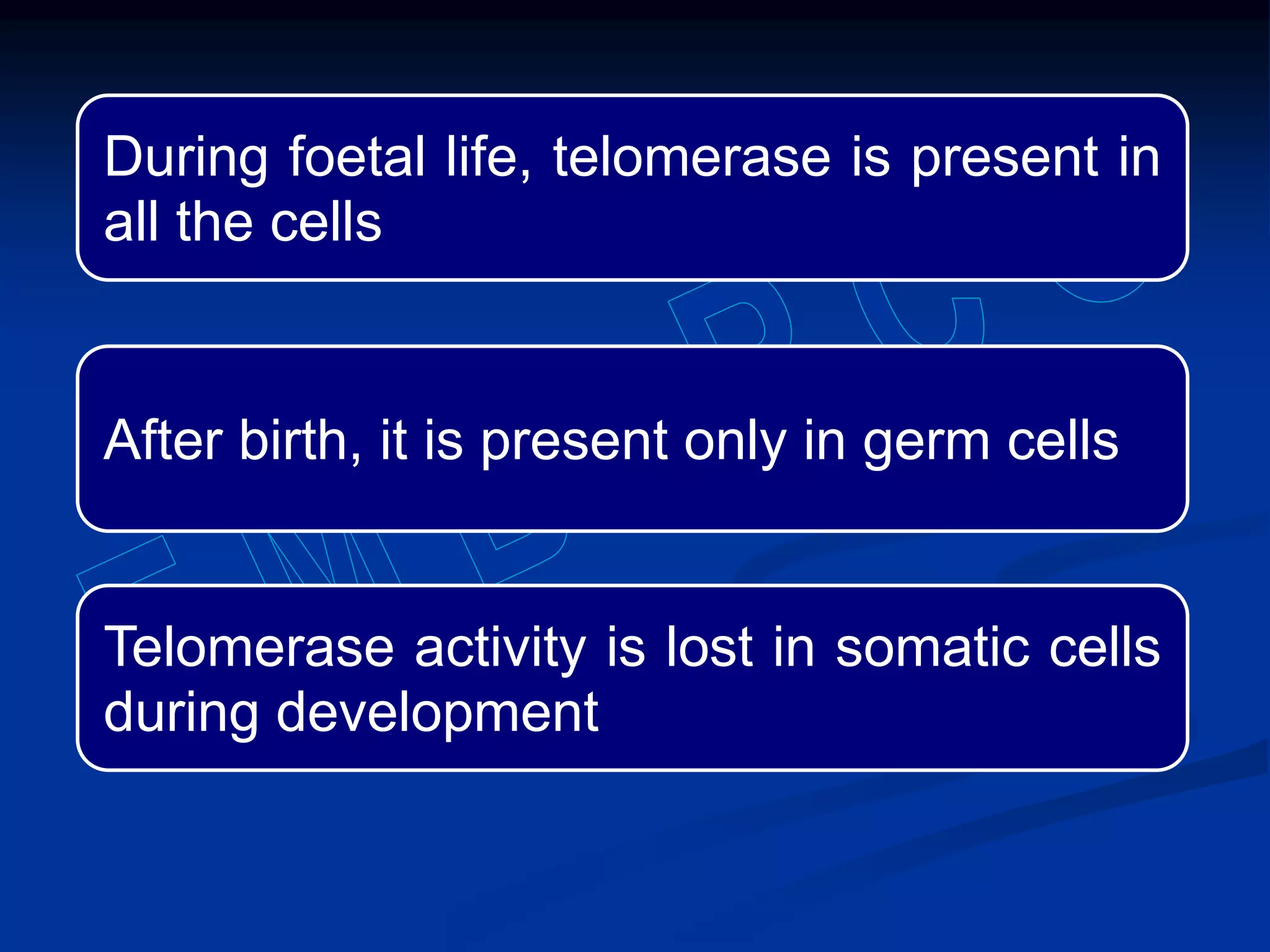 During foetal life, telomerase is present in
all the cells
After birth, it is present only in germ cells
Telomerase activity is lost in somatic cells
during development
 