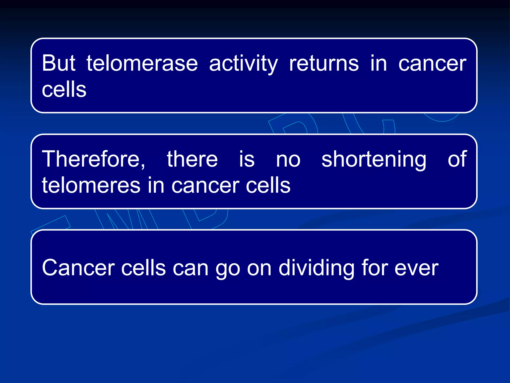 But telomerase activity returns in cancer
cells
Therefore, there is no shortening of
telomeres in cancer cells
Cancer cells can go on dividing for ever
 