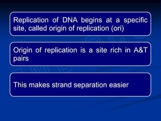 Replication of DNA begins at a specific
site, called origin of replication (ori)
Origin of replication is a site rich in A&T
pairs
This makes strand separation easier
 