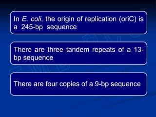 In E. coli, the origin of replication (oriC) is
a 245-bp sequence
There are three tandem repeats of a 13-
bp sequence
There are four copies of a 9-bp sequence
 