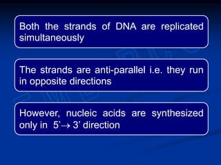 Both the strands of DNA are replicated
simultaneously
The strands are anti-parallel i.e. they run
in opposite directions
However, nucleic acids are synthesized
only in 5’ 3’ direction
 