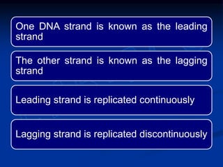 One DNA strand is known as the leading
strand
The other strand is known as the lagging
strand
Leading strand is replicated continuously
Lagging strand is replicated discontinuously
 