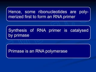 Hence, some ribonucleotides are poly-
merized first to form an RNA primer
Synthesis of RNA primer is catalysed
by primase
Primase is an RNA polymerase
 