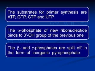 The substrates for primer synthesis are
ATP, GTP, CTP and UTP
The a-phosphate of new ribonucleotide
binds to 3’-OH group of the previous one
The b- and g-phosphates are split off in
the form of inorganic pyrophosphate
 