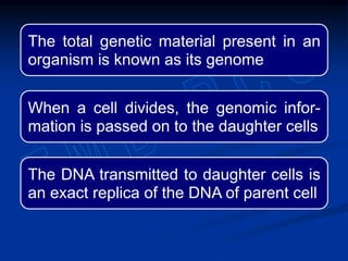 The total genetic material present in an
organism is known as its genome
When a cell divides, the genomic infor-
mation is passed on to the daughter cells
The DNA transmitted to daughter cells is
an exact replica of the DNA of parent cell
 