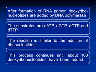 After formation of RNA primer, deoxyribo-
nucleotides are added by DNA polymerase
The substrates are dATP, dGTP, dCTP and
dTTP
The reaction is similar to the addition of
ribonucleotides
This process continues until about 100
deoxyribonucleotides have been added
 