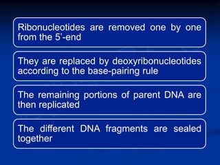 Ribonucleotides are removed one by one
from the 5’-end
They are replaced by deoxyribonucleotides
according to the base-pairing rule
The remaining portions of parent DNA are
then replicated
The different DNA fragments are sealed
together
 