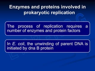 Enzymes and proteins involved in
prokaryotic replication
The process of replication requires a
number of enzymes and protein factors
In E. coli, the unwinding of parent DNA is
initiated by dna B protein
 