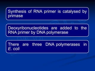Synthesis of RNA primer is catalysed by
primase
Deoxyribonucleotides are added to the
RNA primer by DNA polymerase
There are three DNA polymerases in
E. coli
 
