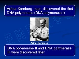 Arthur Kornberg had discovered the first
DNA polymerase (DNA polymerase I)
Arthur Kornberg
DNA polymerase II and DNA polymerase
III were discovered later
 