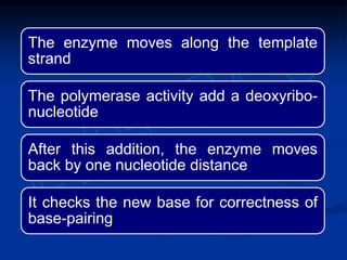 The enzyme moves along the template
strand
The polymerase activity add a deoxyribo-
nucleotide
After this addition, the enzyme moves
back by one nucleotide distance
It checks the new base for correctness of
base-pairing
 