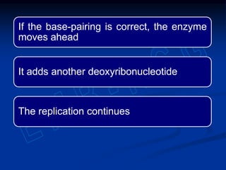 If the base-pairing is correct, the enzyme
moves ahead
It adds another deoxyribonucleotide
The replication continues
 