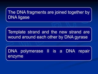 The DNA fragments are joined together by
DNA ligase
Template strand and the new strand are
wound around each other by DNA gyrase
DNA polymerase II is a DNA repair
enzyme
 