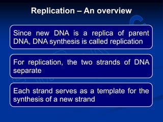 Since new DNA is a replica of parent
DNA, DNA synthesis is called replication
For replication, the two strands of DNA
separate
Each strand serves as a template for the
synthesis of a new strand
Replication – An overview
 