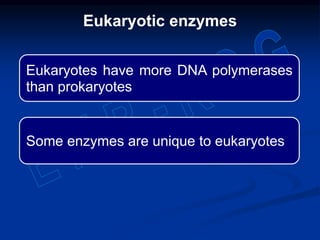 Eukaryotes have more DNA polymerases
than prokaryotes
Some enzymes are unique to eukaryotes
Eukaryotic enzymes
 