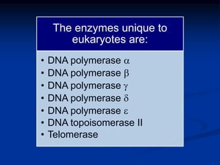 The enzymes unique to
eukaryotes are:
• DNA polymerase a
• DNA polymerase b
• DNA polymerase g
• DNA polymerase d
• DNA polymerase e
• DNA topoisomerase II
• Telomerase
 