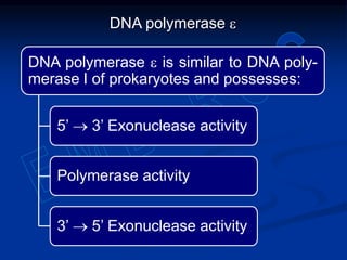 DNA polymerase e
DNA polymerase e is similar to DNA poly-
merase I of prokaryotes and possesses:
5’ 3’ Exonuclease activity
Polymerase activity
3’ 5’ Exonuclease activity
 