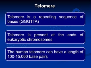 Telomere is a repeating sequence of
bases (GGGTTA)
Telomere is present at the ends of
eukaryotic chromosomes
The human telomere can have a length of
100-15,000 base pairs
Telomere
 