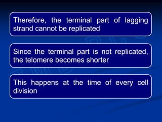 Therefore, the terminal part of lagging
strand cannot be replicated
Since the terminal part is not replicated,
the telomere becomes shorter
This happens at the time of every cell
division
 