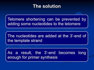 Telomere shortening can be prevented by
adding some nucleotides to the telomere
The nucleotides are added at the 3’-end of
the template strand
As a result, the 3’-end becomes long
enough for primer synthesis
The solution
 