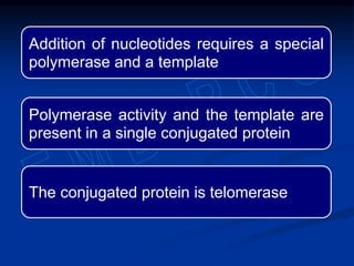 Addition of nucleotides requires a special
polymerase and a template
Polymerase activity and the template are
present in a single conjugated protein
The conjugated protein is telomerase
 