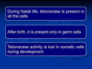 During foetal life, telomerase is present in
all the cells
After birth, it is present only in germ cells
Telomerase activity is lost in somatic cells
during development
 