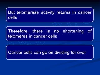 But telomerase activity returns in cancer
cells
Therefore, there is no shortening of
telomeres in cancer cells
Cancer cells can go on dividing for ever
 